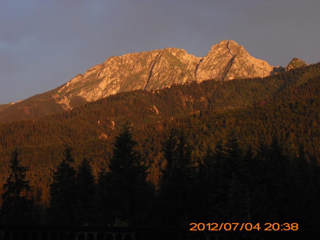 Siwarna Natura Tour Hotell Zakopane Eksteriør bilde