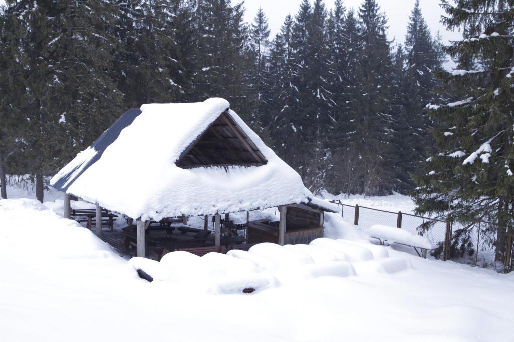 Siwarna Natura Tour Hotell Zakopane Eksteriør bilde